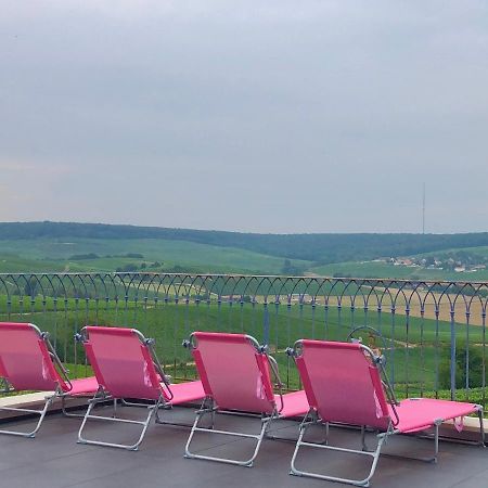 Willa Floressens En Champagne Terrasse Privative Sur Le Vignoble Fleury-la-Riviere Zewnętrze zdjęcie