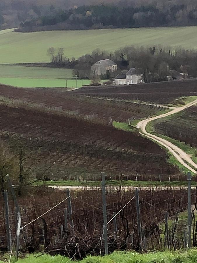 Willa Floressens En Champagne Terrasse Privative Sur Le Vignoble Fleury-la-Riviere Zewnętrze zdjęcie
