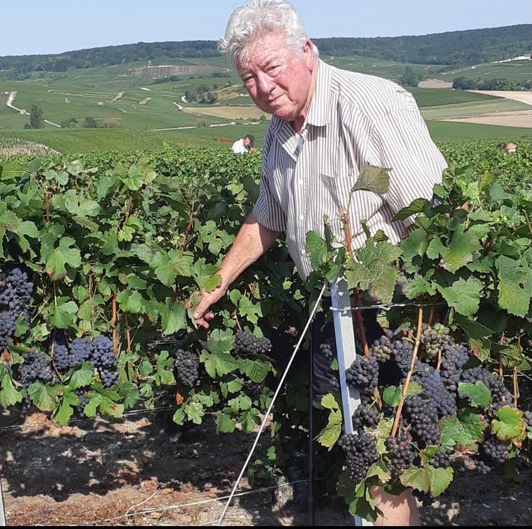 Willa Floressens En Champagne Terrasse Privative Sur Le Vignoble Fleury-la-Riviere Zewnętrze zdjęcie