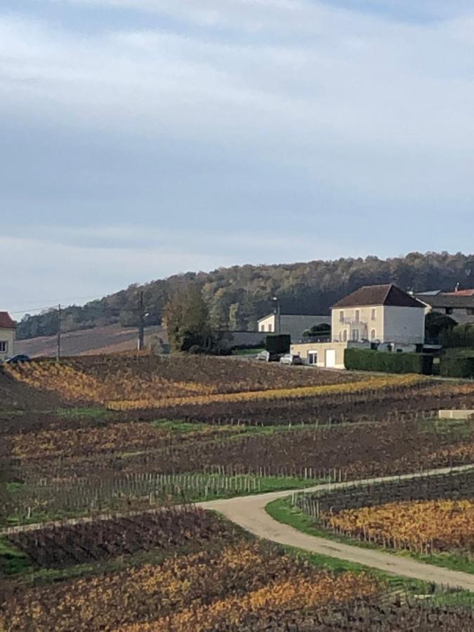 Willa Floressens En Champagne Terrasse Privative Sur Le Vignoble Fleury-la-Riviere Zewnętrze zdjęcie