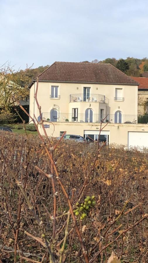 Willa Floressens En Champagne Terrasse Privative Sur Le Vignoble Fleury-la-Riviere Zewnętrze zdjęcie