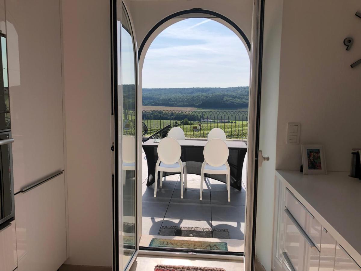 Willa Floressens En Champagne Terrasse Privative Sur Le Vignoble Fleury-la-Riviere Zewnętrze zdjęcie
