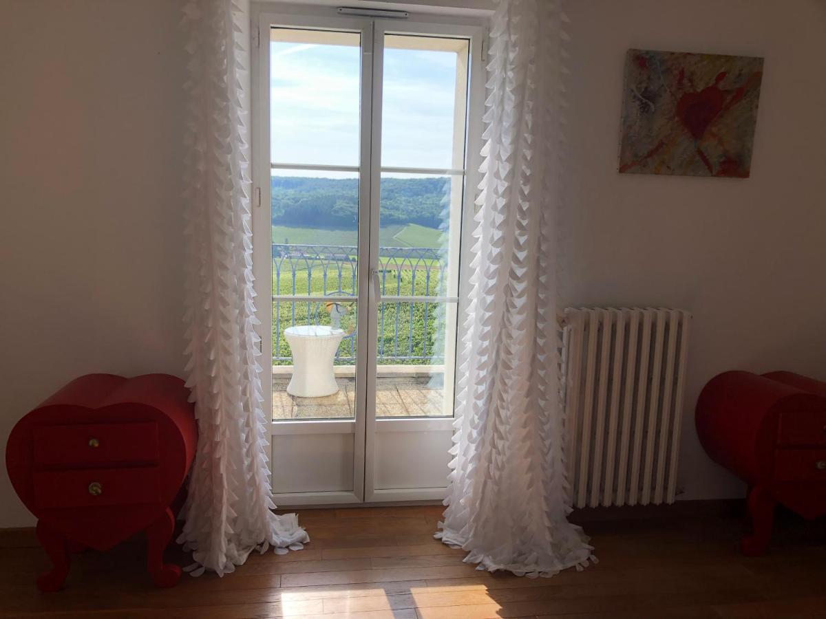 Willa Floressens En Champagne Terrasse Privative Sur Le Vignoble Fleury-la-Riviere Zewnętrze zdjęcie