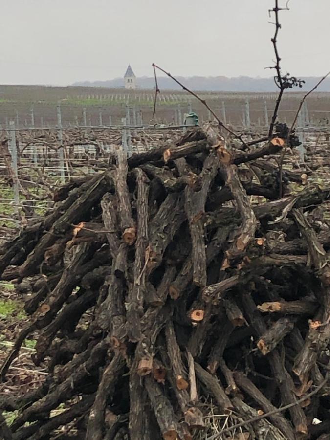 Willa Floressens En Champagne Terrasse Privative Sur Le Vignoble Fleury-la-Riviere Zewnętrze zdjęcie