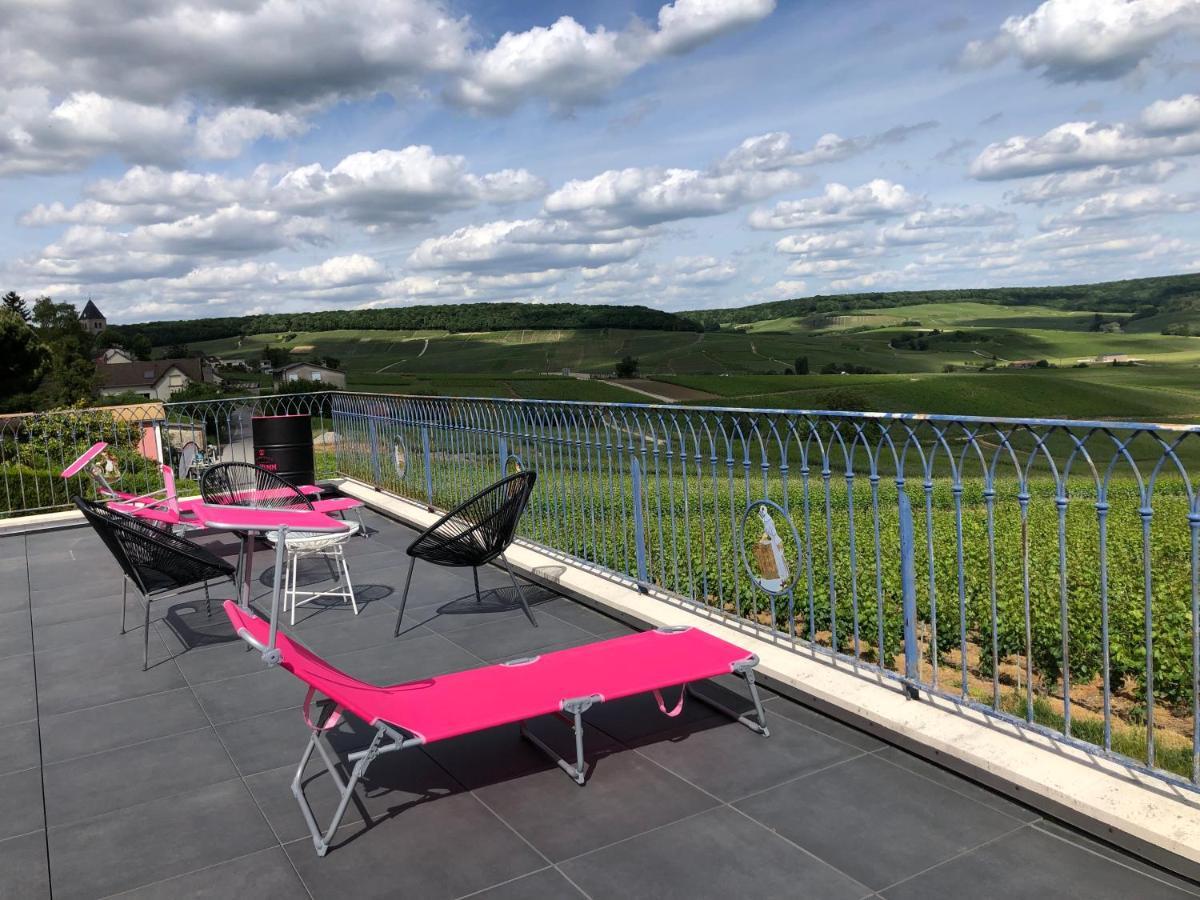 Willa Floressens En Champagne Terrasse Privative Sur Le Vignoble Fleury-la-Riviere Zewnętrze zdjęcie