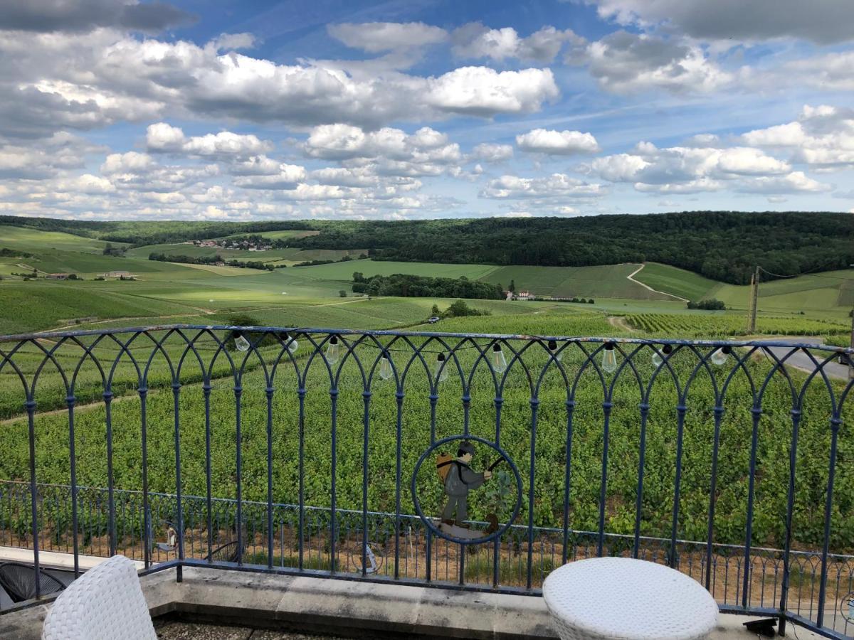 Willa Floressens En Champagne Terrasse Privative Sur Le Vignoble Fleury-la-Riviere Zewnętrze zdjęcie