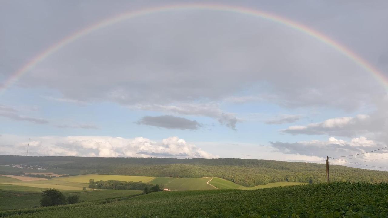 Willa Floressens En Champagne Terrasse Privative Sur Le Vignoble Fleury-la-Riviere Zewnętrze zdjęcie