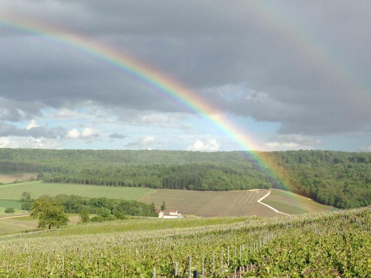 Willa Floressens En Champagne Terrasse Privative Sur Le Vignoble Fleury-la-Riviere Zewnętrze zdjęcie
