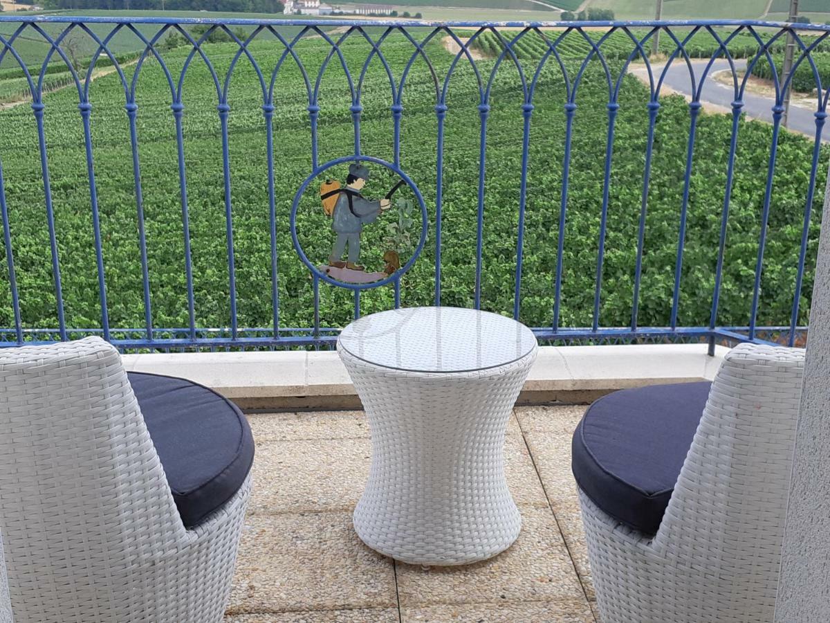 Willa Floressens En Champagne Terrasse Privative Sur Le Vignoble Fleury-la-Riviere Zewnętrze zdjęcie